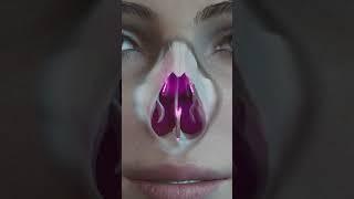 Nose anatomy. Video Animation by KAMINSKYI