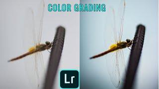 LIGHTROOM COLOR GRADING | LIGHTROOM EDITING