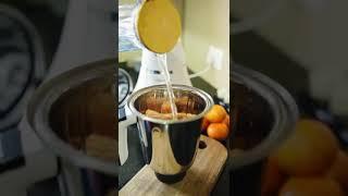 Blueberry's 750 Watts Mixer Grinder Demo Video