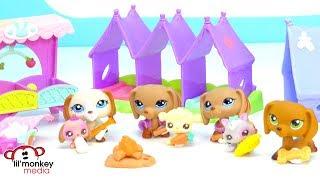   LPS Weekend Camping at the FunPark!  Littlest Pet Shop Camping Weekend!