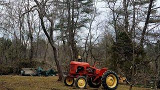 Cutting Leaning Pine Tree