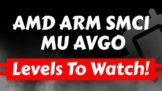 Semiconductors Levels To Watch | AMD Stock, SMCI Stock, ARM Stock, Broadcom Stock, Micron Stock