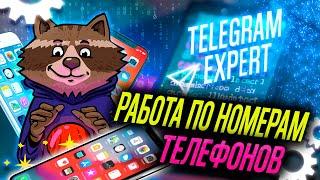 PAKETA_TELEGRAM Soft [Обзор] модуля Работы по номерам тел