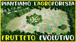 TRUCCHI e SEGRETI per PIANTARE ALBERI da FRUTTO in FRUTTETO EVOLUTIVO