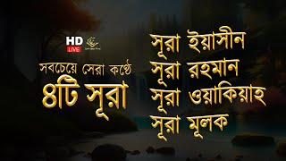 সব চেয়ে সেরা কুরআন তিলাওয়াত ২০২৪ - সূরা ইয়াসিন | সূরা আর রহমান |  সূরা ওয়াকিয়া | সূরা মূলক