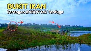 EDIAAAANNNNNN !! MANCING SETENGAH HARI SEMAKIN SORE SERANGAN SEMAKIN INDAH INI REZEKI TAK TERDUGA