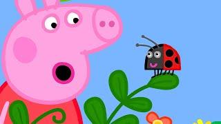 Peppa Finds A Ladybug!  | Peppa Pig Official Full Episodes