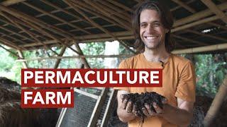 Permaculture Farm in Bali⎢The Kul Kul Farm