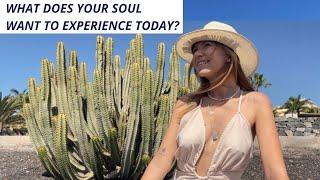 Ask yourself this question every day & change your life to the better! Soul Experience ️