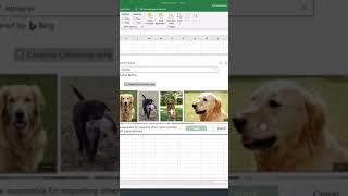 How to Add any Background Image #Tip131 #exceltips #googlesheets #excel #spreadsheet #sheet #Shorts