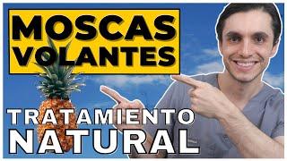 Tratamiento NATURAL contra las MOSCAS VOLANTES o Desprendimiento de Vítreo | Funciona la Piña?