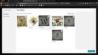 How to Use Masonry Galleries - Updating Your Wordpress Enfold Site (Strategy Lab)