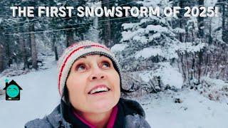 First Big Snowstorm of 2025 on Vancouver Island!