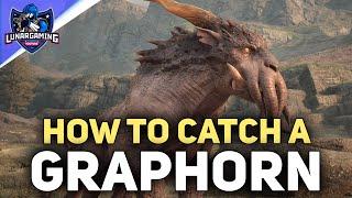 How To Catch a Graphorn Location - Hogwarts Legacy