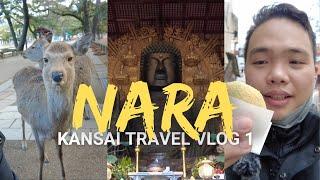 Day 1 in Kansai (NARA): Deer Feeding at Nara Park | Todaiji Temple