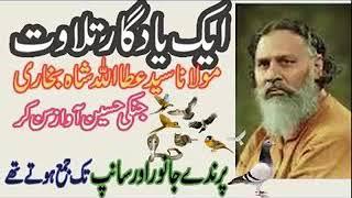 Ek yaadgar tilawat Molana syed attaullah shah bukhari