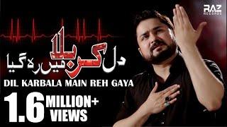 DIL KARBALA MAIN REH GAYA | New HD Noha 2018 2019/1440 | Syed Raza Abbas Zaidi Nohay 2019