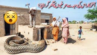 Big Snakes In Hen House,Is Ki Waja Say Murgion Ka Ghar Girana Para, Village Family Vlogs,Taiba Vlogs