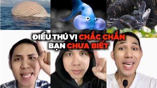 TẤT CẢ Những Điều Thú Vị Có Thể Bạn Chưa Biết (Phần 1-100)