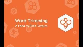 WP RSS Aggregator : Word Trimming with Feed to Post