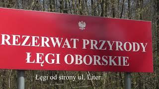 "Łęgi Oborskie" Nature Reserve