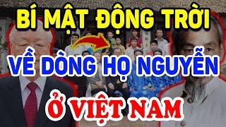 Sự Thật Động Trời Về Dòng Họ Nguyễn Tại Việt Nam, Họ Nguyễn Nhất Định Phải Nghe | Triết Lý Tinh Hoa