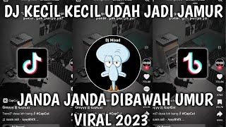 DJ KECIL KECIL UDAH JADI JAMUR JANDA JANDA DIBAWAH UMUR TIKTOK VIRAL 2023!