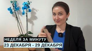 23 ДЕКАБРЯ – 29 ДЕКАБРЯ • НЕДЕЛЯ за МИНУТУ • Таро Прогноз на Неделю • Diva V.S