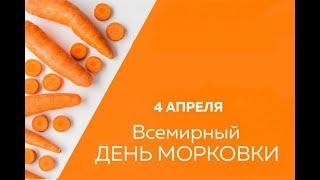 4 апреля отмечается День Моркови 