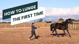 How To Lunge A Horse For The First Time