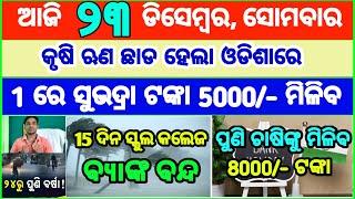 Today's breaking news odisha || Odia News | 23 December 2024 | CM Kisan |subhadra yojana online aply