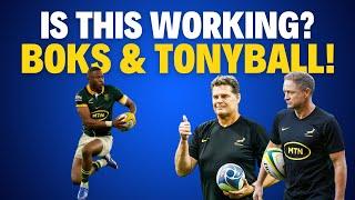 Springboks’ New Attack: Is Tonyball Working or Should They Stick to Their DNA?