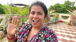 Bengali Vlog # জনসভার বক্তৃতায় মাথার ঘিলু বেরিয়ে যাচ্ছে