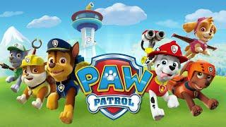 Paw Patrol World Gameplay / Pati Devryesi Dünyası #pawpatrolgame #pawpatrol #gameplay  #tiktok