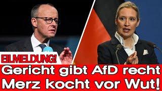 VOR 3 MINUTEN! Gericht gibt AfD recht – Merz kocht vor Wut!