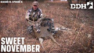 Best Times to Hunt the Rut | Deer & Deer Hunting TV