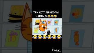 приколы про три кота из тик тока