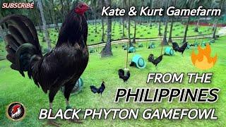 Top Beautiful Gamefarm in the Philippines | Kate & Kurt Gamefarm 