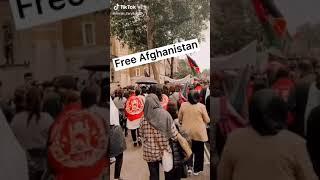 Free Afghanistan