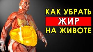 Как Убрать Жир На Животе? Продукты Для Сжигания Жира