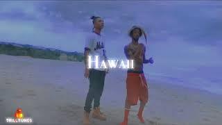 Rae Sremmurd - Hawaii (Official Video).mp4