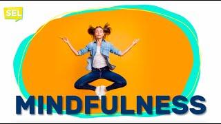 SEL Video Lesson of the Week (week 29) - Mindfulness and Stress Management