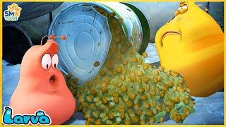 LARVA Season 3 Episode 50 ~ 100 -  New Cartoons 2024 - Hilarious Cartoon Compilation