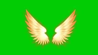 Golden wings green screen new effect 2022