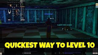 10 Levels In 2 Hours - Quickest Way To Get Through Early Levels - Everquest Project 1999