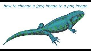 how to change a jpeg image into a png image