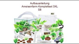 Aufbauanleitung Ameisenkomplettset Ameisenfarm S8 & 3XL