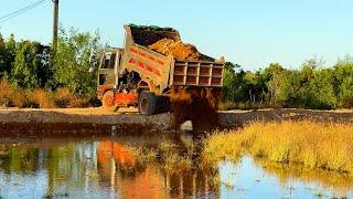 Perfect Just Starting New Project 5T Trucks Unloading Stone Into Water & Bulldozer D31P Pushing