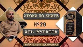 Прелюбодеяние и дети от прелюбодеяния l Цивильные земли l Урок №29 по книге аль-Муватта l Шейх Хабиб