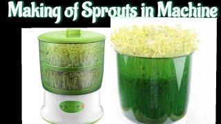 how to make sprouts in 220v sprout maker machine